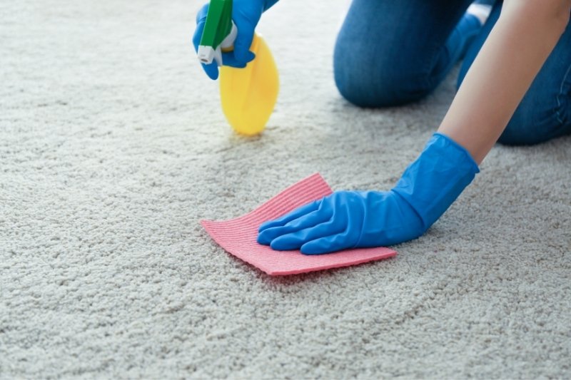 how to get pee stains out of carpet