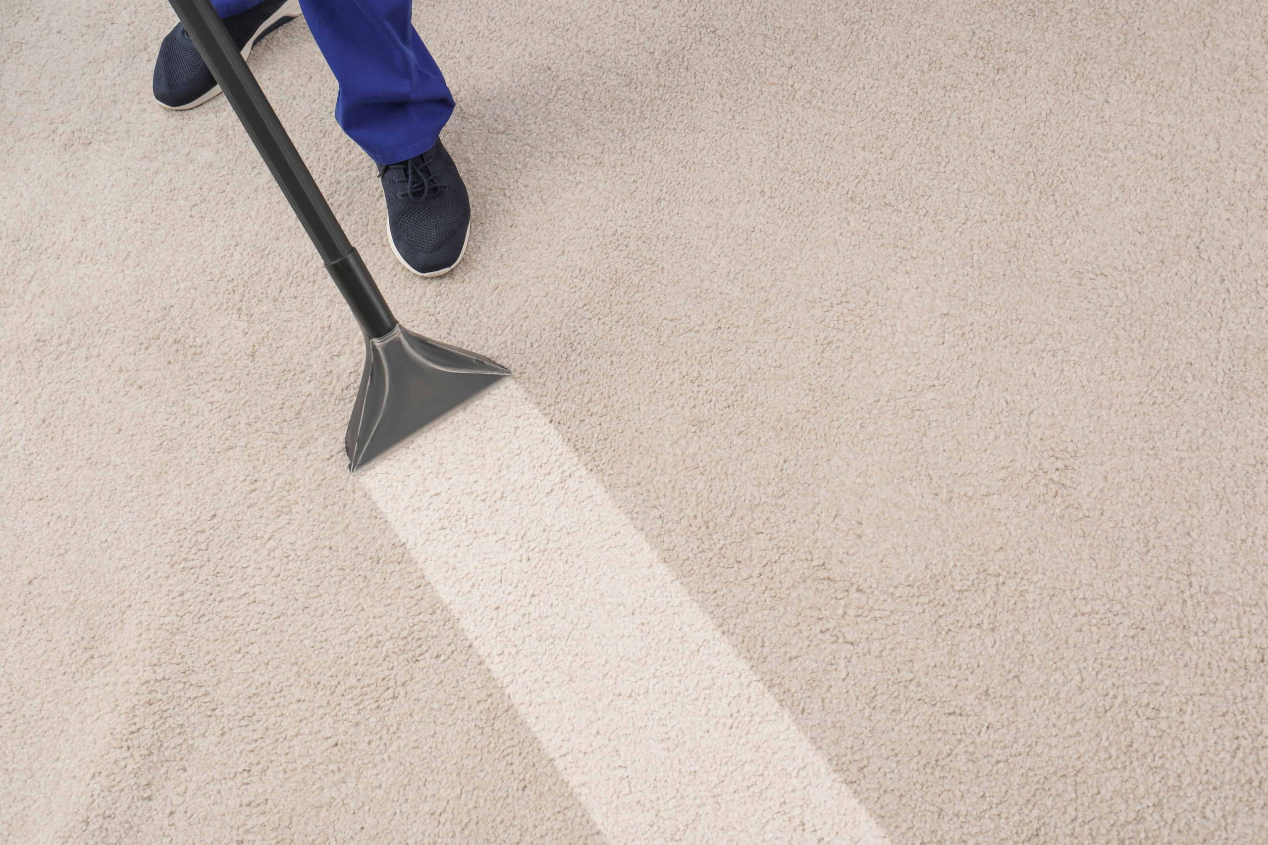 how to get rid of mildew smell in carpet